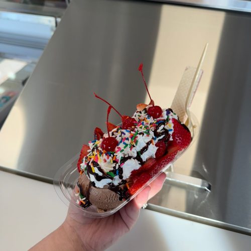 WhatsApp Image 2025-03-06 at 2.49.06 PM